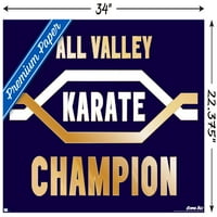 Cobra Kai - All Valley Karate Champion Wall Poster, 22.375 34