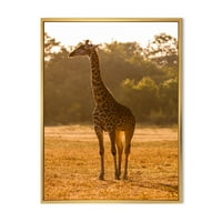 Дизайнарт 'африкански жираф в дивата природа' Ферма рамка платно стена арт принт