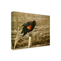 Изобразително изкуство с червени крилати косове от Рон Паркър